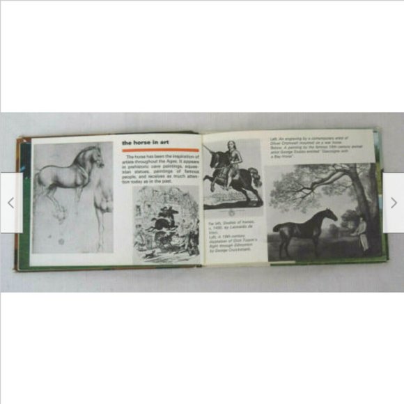Horses and Ponies Magpie Pocket Hardcover Book Pauline Voss Carol Baker 1969 - Picture 4 of 7